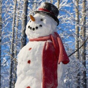 Let's build a snowman!  Family live up north?  Grandkids?